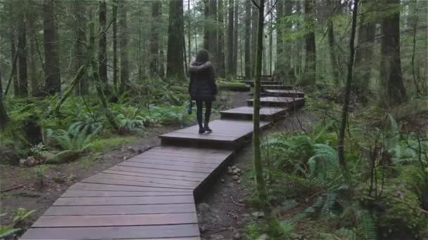 Девочка, гуляющая в канадском лесу Рейн — стоковое видео