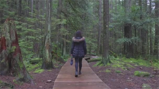 Une fille marche dans la forêt tropicale canadienne — Video