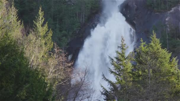 Vista de Shannon Falls e água correndo pelo desfiladeiro — Vídeo de Stock