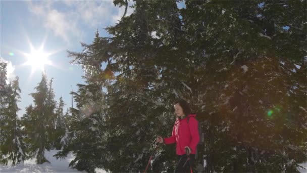 Adventure Woman Wandelen op de top van de Canadese bergen — Stockvideo