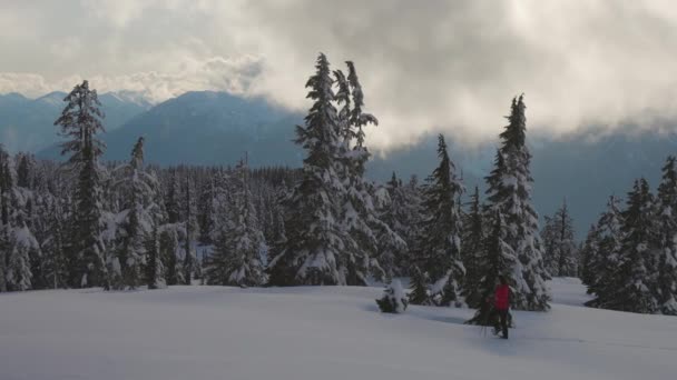 Maceracı Kadın Kanada Dağları 'nın tepesinde yürüyüş yapıyor — Stok video