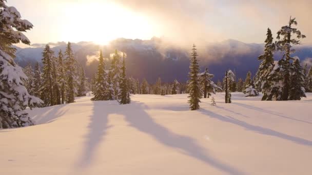 Panoramatický pohled na kanadskou přírodní krajinu — Stock video