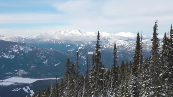 Foresta innevata in cima alle montagne in inverno durante Sunny Morning. — Video Stock