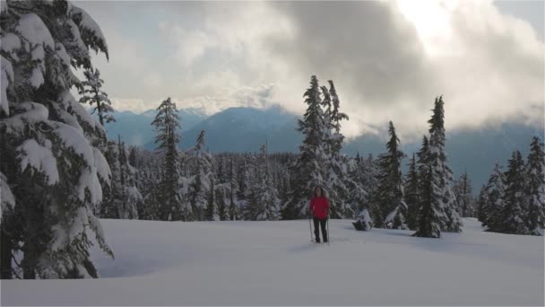 Adventure Woman Wandelen op de top van de Canadese bergen — Stockvideo