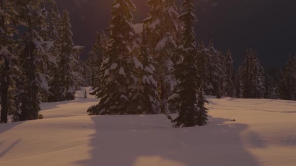 Vue panoramique du paysage naturel canadien — Video