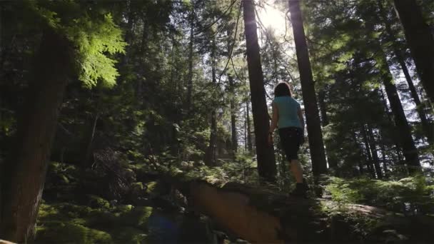 Mujer aventurera caminando sobre un árbol caído en un hermoso bosque lluvioso verde — Vídeos de Stock