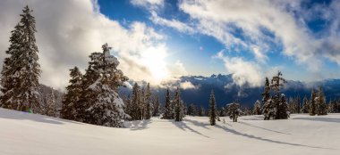 Kanada Doğa Manzarası Panoramik Görünümü
