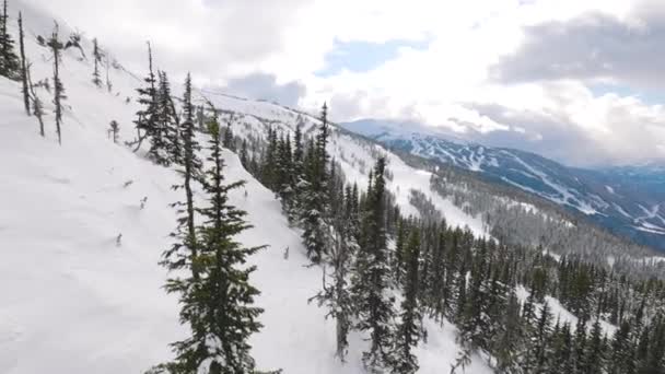 Snowy Las na szczycie gór zimą w słoneczny poranek. — Wideo stockowe