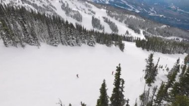 Karlı Orman kışın dağların tepesinde Güneşli Sabah boyunca.