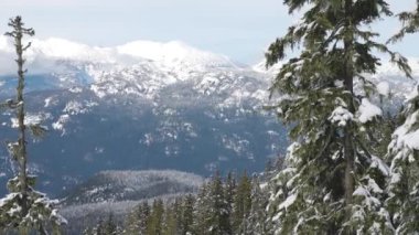 Karlı Orman kışın dağların tepesinde Güneşli Sabah boyunca.