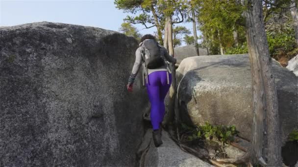 Ragazza avventurosa Escursioni in cima a un picco — Video Stock