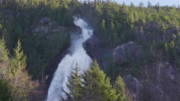 Θέα του Shannon Falls και το νερό σπεύδουν κάτω από το φαράγγι — Αρχείο Βίντεο