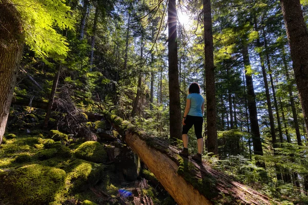 Abenteuerlustige Frau wandert auf einem umgestürzten Baum in einem schönen grünen Regenwald — Stockfoto