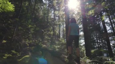 Güzel, yeşil bir yağmur ormanında düşen bir ağaçta yürüyüş yapan maceraperest kadın.