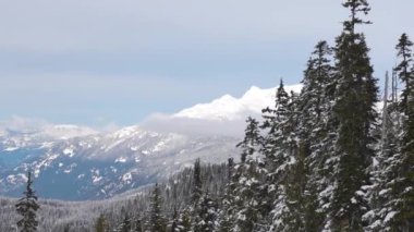 Karlı Orman kışın dağların tepesinde Güneşli Sabah boyunca.