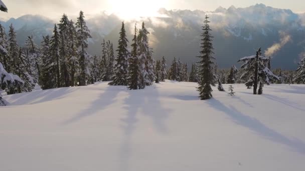 Kanada Doğa Manzarası Panoramik Görünümü — Stok video