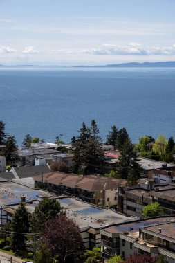 Huzurlu bir mahalledeki konutların hava görüntüsü