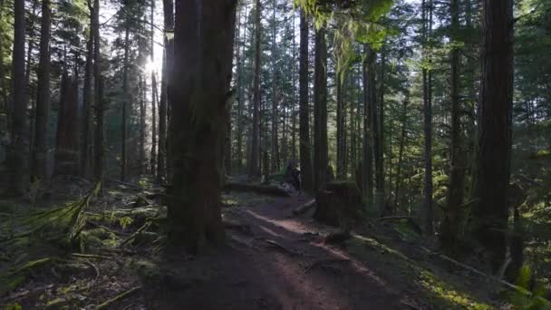 녹색 숲 속에서 달리고 있는 백인 여자 길 — 비디오