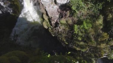 Kanada Dağları 'ndaki kayalık bir kanyondan çağlayan şelale..