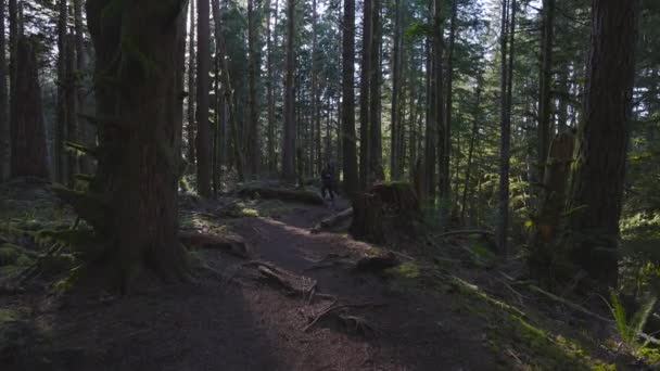 Sendero de mujer caucásica corriendo en el bosque verde — Vídeo de stock