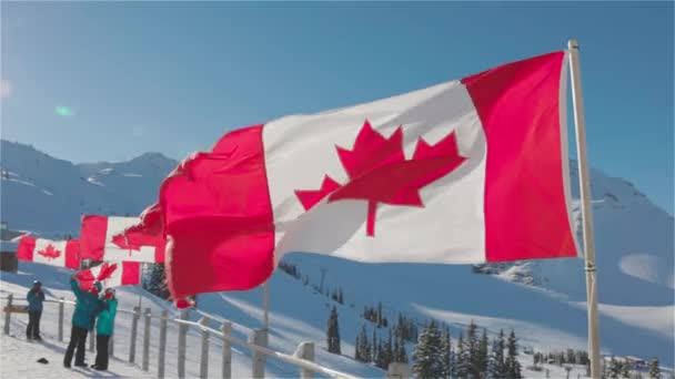 Kanadensiska flagga med en vinter bergslandskap i bakgrunden. — Stockvideo