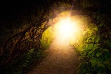 Shoreline Trail, Port Moody, Greater Vancouver, British Columbia, Kanada