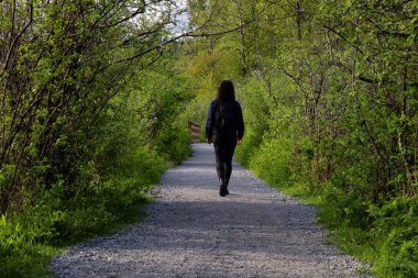 Shoreline Trail 'de Yeşil ağaçlarla Bir Yolda Yürüyen Kadın