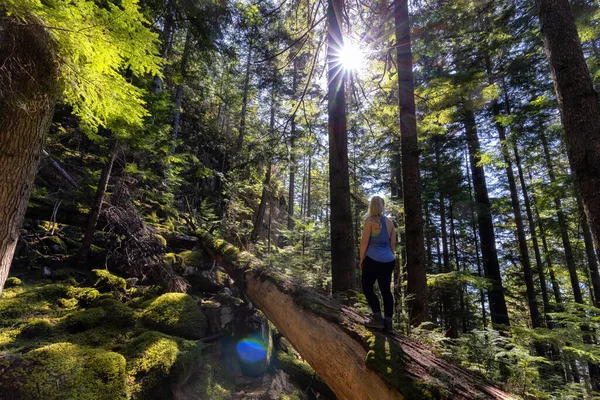 Abenteuerlustige Frau wandert auf einem umgestürzten Baum in einem schönen grünen Regenwald — Stockfoto