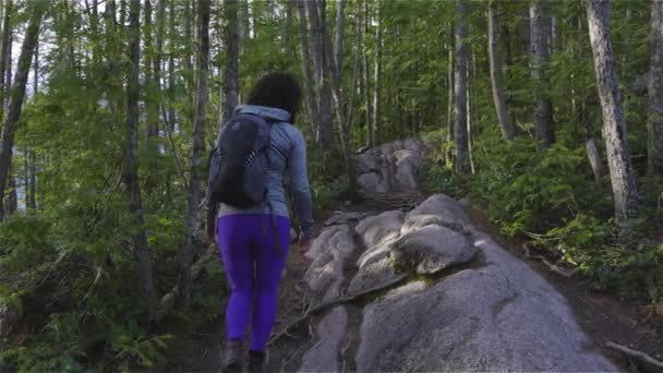 ผู้หญิงผจญภัย เดินป่าบนยอดเขา — วีดีโอสต็อก
