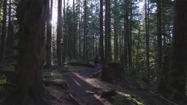 Chemin de la femme caucasienne Courir dans la forêt verte — Video