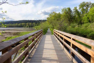 Shoreline Trail, Port Moody, Greater Vancouver, British Columbia, Kanada