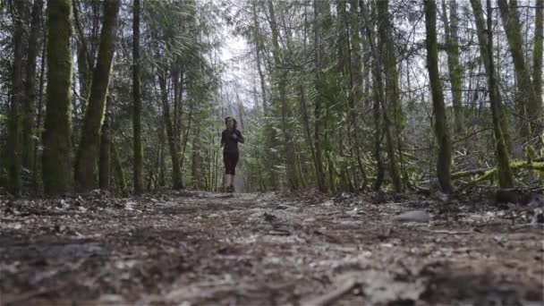 Sentiero caucasico donna che corre nella foresta verde — Video Stock