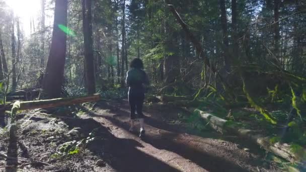 Sendero de mujer caucásica corriendo en el bosque verde — Vídeo de stock