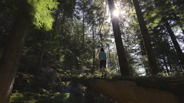 Avontuurlijke Vrouw wandelend op een omgevallen boom in een prachtig groen regenwoud — Stockvideo