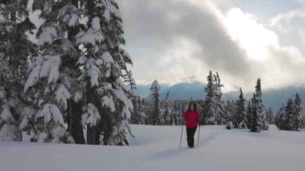 Adventure Woman Turistika na vrcholu Kanadských hor — Stock video