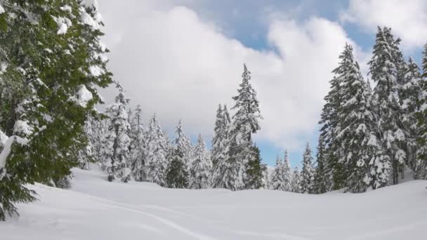 Uitzicht op het Canadese natuurlandschap op de top van een besneeuwde berg — Stockvideo