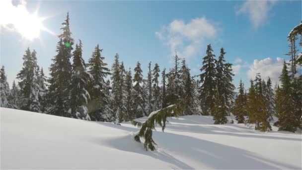 Uitzicht op het Canadese natuurlandschap op de top van een besneeuwde berg — Stockvideo