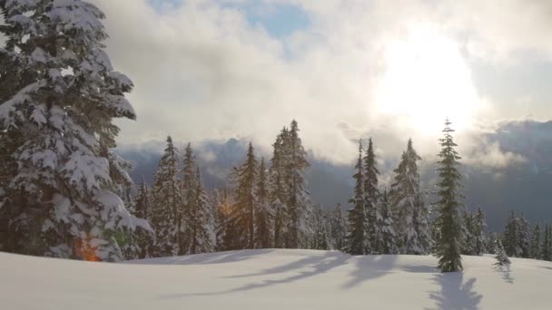 Uitzicht op het Canadese natuurlandschap op de top van een besneeuwde berg — Stockvideo