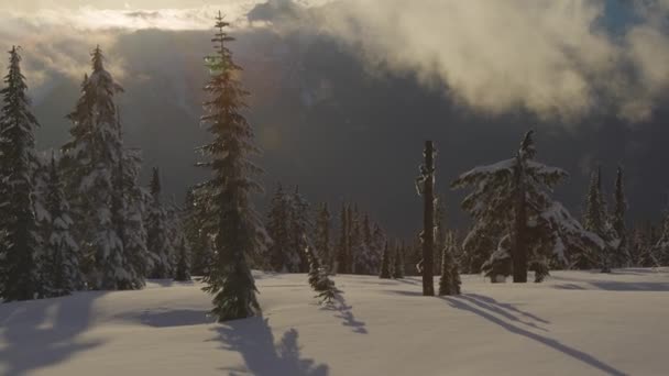 Vista panorámica del paisaje natural canadiense — Vídeos de Stock