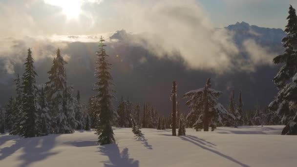 Kanada Doğa Manzarası Panoramik Görünümü — Stok video