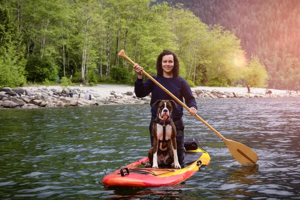 Adult Caucasian Adventure Woman on a paddle board with boxer dog — Stock Photo, Image