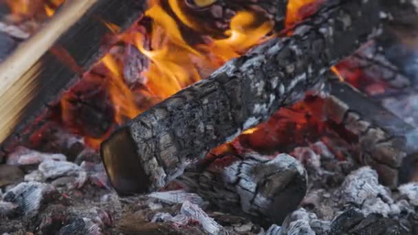 Photo rapprochée du feu de bois dans un feu de camp — Video