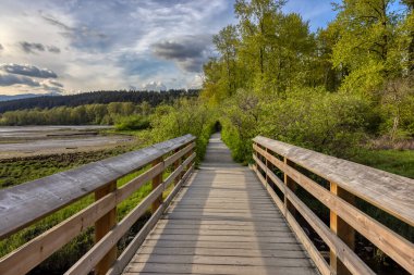 Shoreline Trail, Port Moody, Greater Vancouver, British Columbia, Kanada
