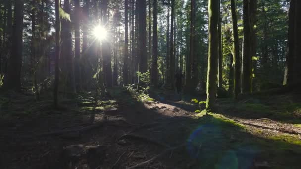 Chemin de la femme caucasienne Courir dans la forêt verte — Video