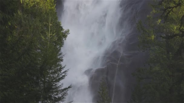 Θέα του Shannon Falls και το νερό σπεύδουν κάτω από το φαράγγι — Αρχείο Βίντεο