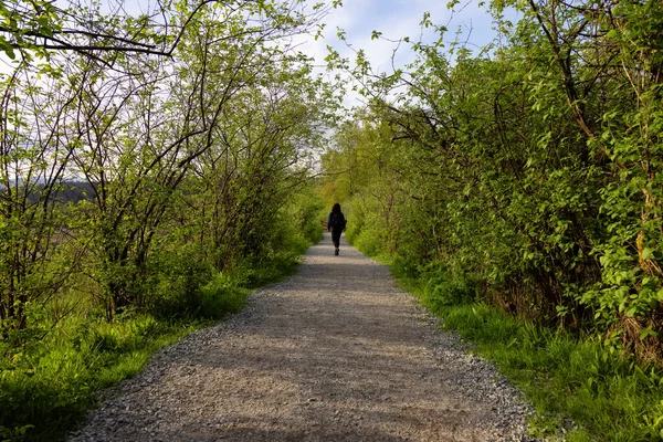 Woman Walking Path Green Trees Shoreline Trail Port Moody Greater — Fotografia de Stock