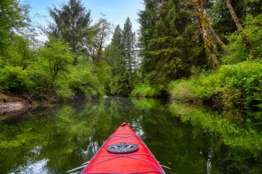 Kanadalı Dağ manzarasıyla çevrili Kırmızı Kano 'da Macera Kavramı. Widgeon Valley, Pitt Meadows, Vancouver, British Columbia, Kanada.