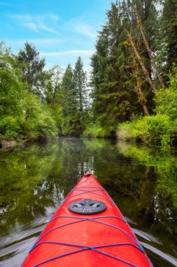 Kanadalı Dağ manzarasıyla çevrili Kırmızı Kano 'da Macera Kavramı. Widgeon Valley, Pitt Meadows, Vancouver, British Columbia, Kanada.