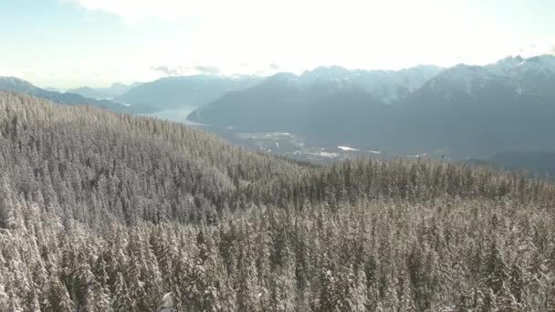 Luchtfoto van het Canadese natuurlandschap op de top van de besneeuwde berg — Stockvideo