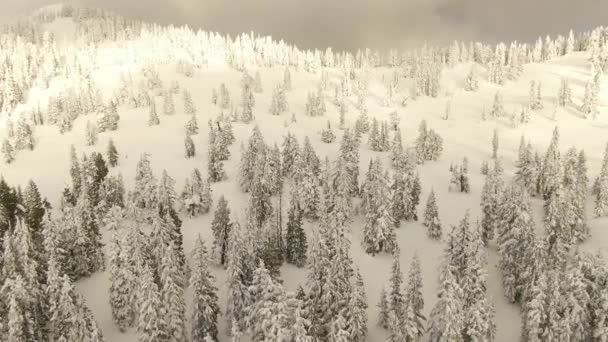 Letecký pohled na kanadskou přírodní krajinu na vrcholu zasněžené hory — Stock video